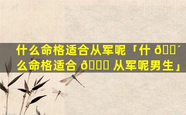 什么命格适合从军呢「什 🐴 么命格适合 💐 从军呢男生」